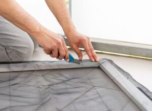 მწერები დამცავი ბადეების აწყობა